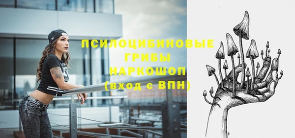 герыч Богородск